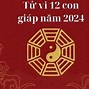 2024 Con Giáp