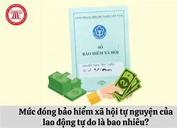 Bảo Hiểm Tự Nguyện Đóng Bao Nhiêu