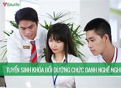 Bồi Dưỡng Theo Tiêu Chuẩn Chức Danh Nghề Nghiệp Là Gì