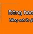 Bông Hoa Tiếng Hán Việt Là Gì