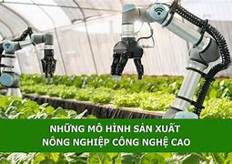 Sản Xuất Nông Nghiệp Không Thể Diễn Ra Khi Không Có