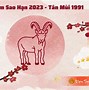 Tử Vi Nữ Tân Mùi 2023 Theo Tháng